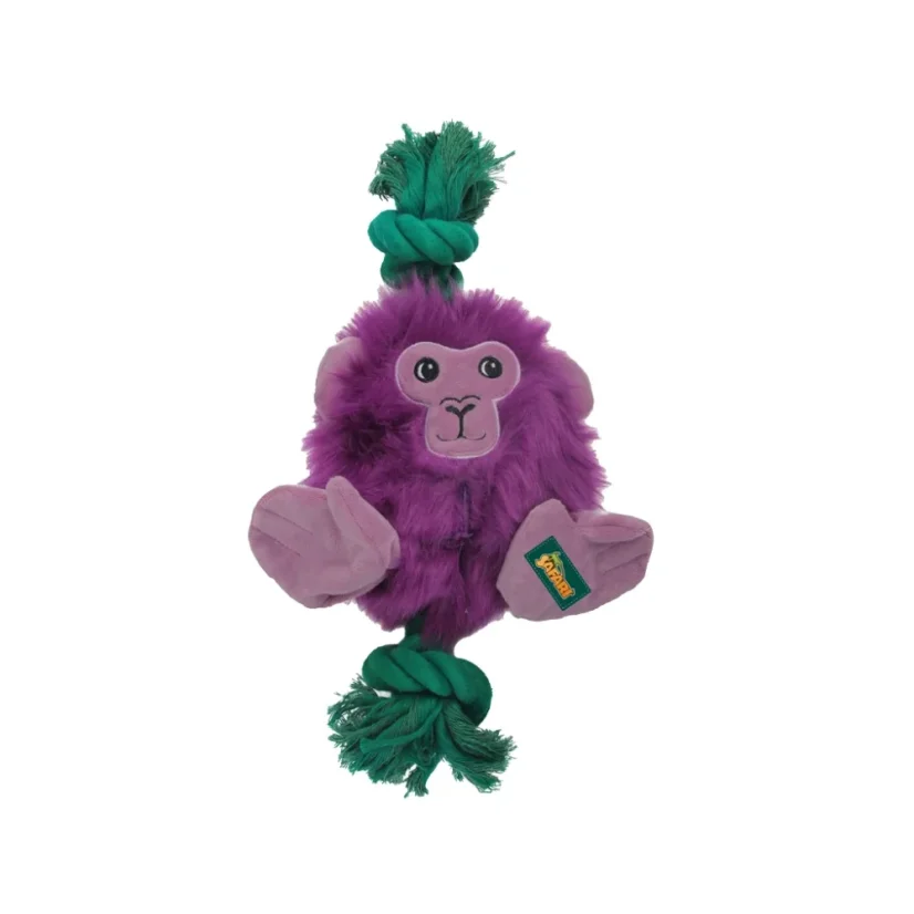 AFP Safari - Big Foot Monkey
