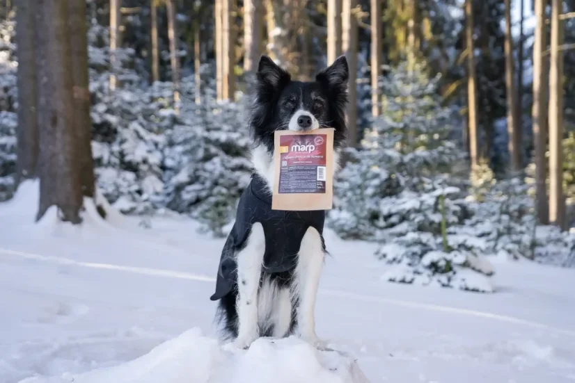 Marp Treats Holistic kolagénová tyčinka s kurkumou 5 ks - žuvacie maškrty pre psa 2