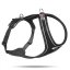 CURLI Belka Comfort Harness S 62-66 cm Black
