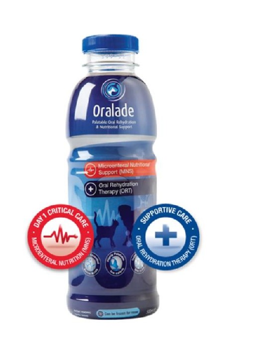 ORLANDE GI rehydratačný roztok pre psy 0,5 l