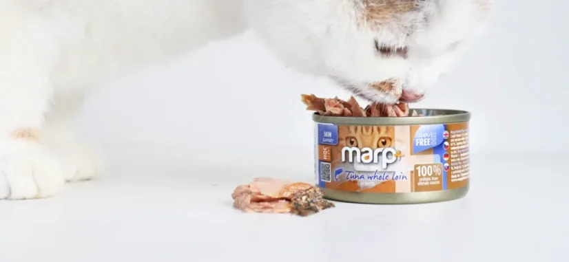 Marp Holistic+ konzerva pre mačky Tuniakové filety vo vývare 70g 5