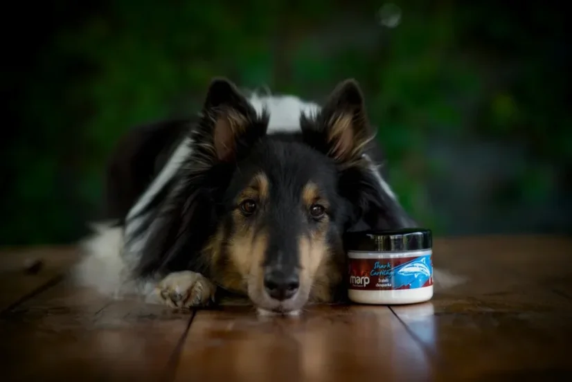 Marp Holistic BARF Žraločia chrupavka 100g prírodná kĺbová výživa pre psa 5