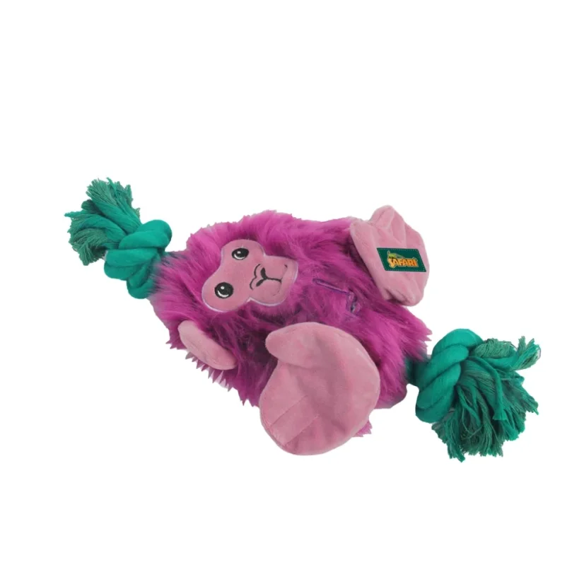 AFP Safari - Big Foot Monkey