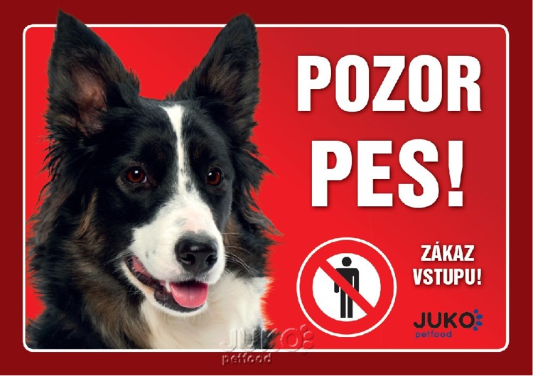 Juko Plastová tabuľa Pozor Pes Border Kólia 21x14,7 cm