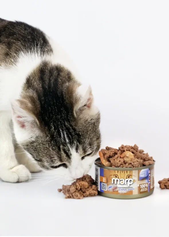 Marp Holistic+ konzerva pre mačky Tuniakové paté s krevetami 70g 4