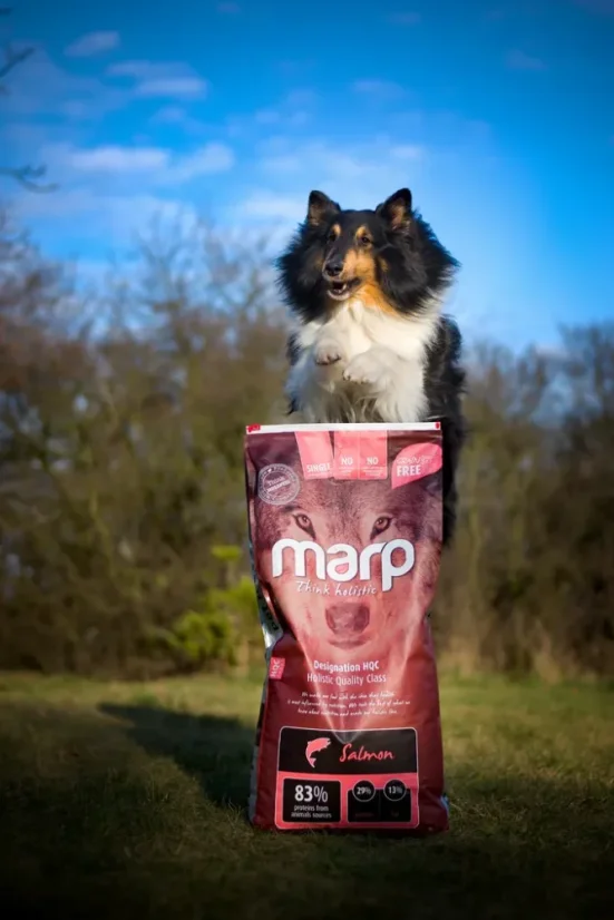 Marp Holistic Salmon lososové granule bez obilnín pre dospelých psov a šteňatá všetkých plemien 12kg 4