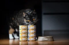 Marp Holistic+ konzerva pre mačky Kura s krevetami a brusnicami v želé 24x70g 1
