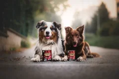 Marp konzerva pre psov  Venison so zverinou 6x400g 2