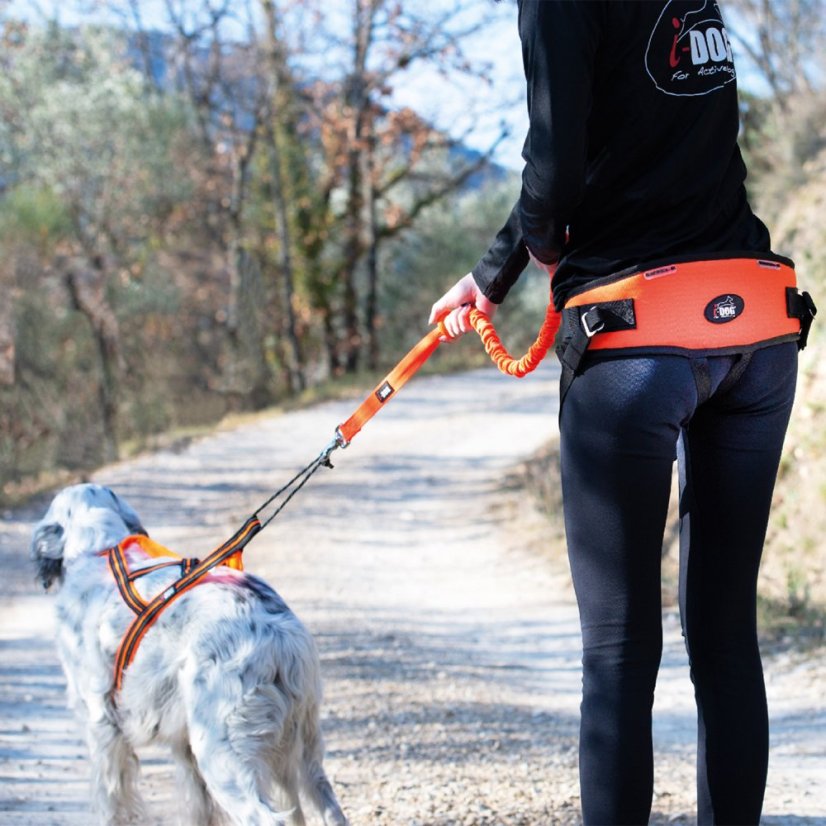 I-DOG Sedák canicross ONE LIGHT