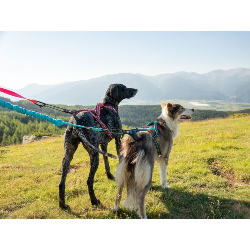 I-DOG Amortizérové vodítko canicross ONE bue
