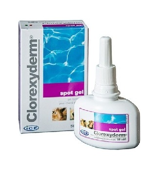 ICF Clorexyderm spot gel 100 ml