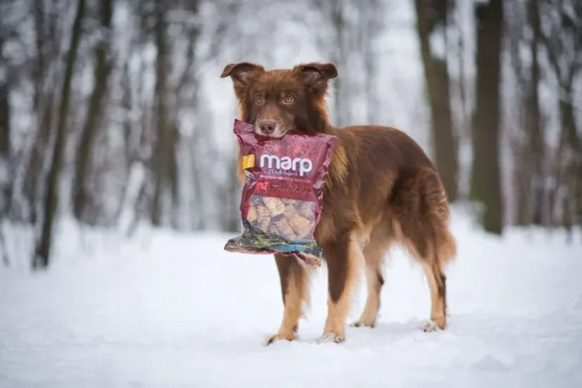 Marp Treats Buffalo Crunchies sušená priedušnica - prírodný dentálny pamlsok pre psa 500g 2