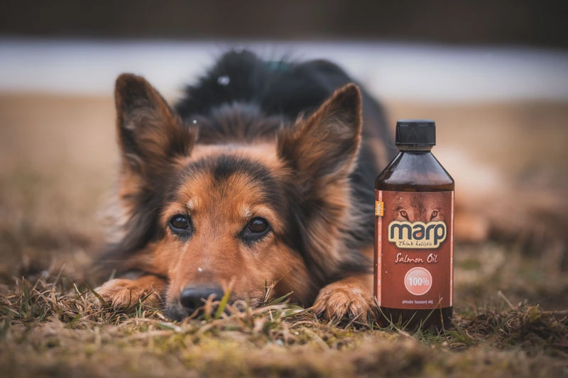 Marp Holistic BARF Olej lososový na zdravú a lesklú srsť psa 500ml 1