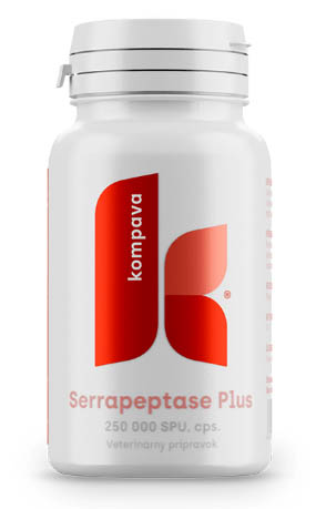KOMPAVA Serrapeptase Plus 355mg 90tbl.