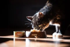 Marp Holistic+ konzerva pre mačky Kuracie prsia vo vývare 24x70g 1