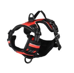 Flamingo Postroj nylon Balou L 2,5x60-85 cm červený