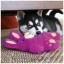 KONG Snuzzles Bunny Md