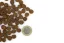 Marp Holistic  White Mix SB granule pre malé plemená bez obilnín 12kg 2