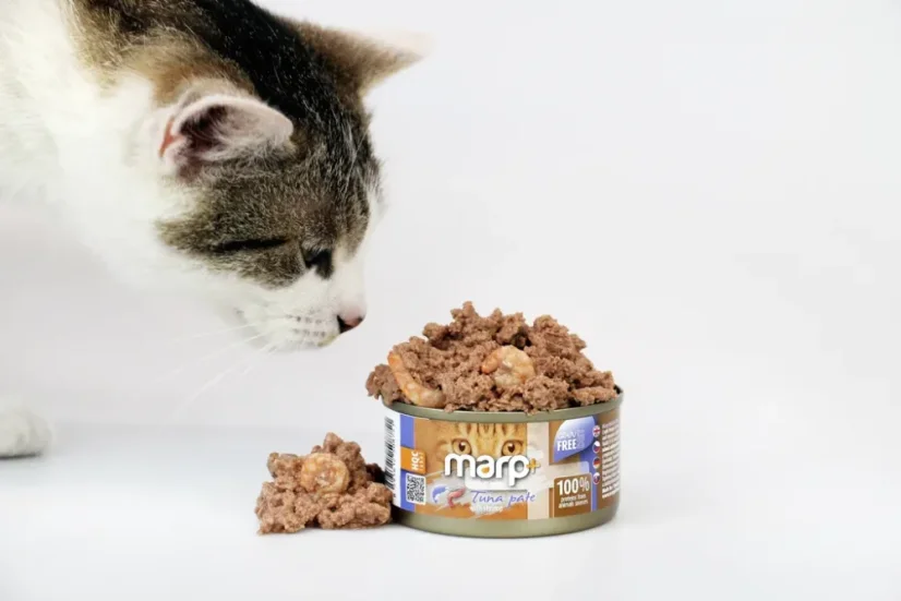 Marp Holistic+ konzerva pre mačky Tuniakové paté s krevetami 70g 3