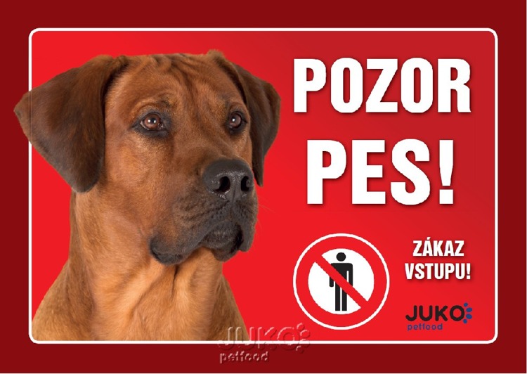 Juko Plastová tabuľa Pozor Pes Rhodéský Ridgeback 21x14,7 cm