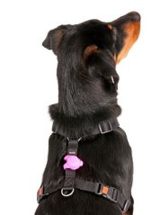 Flamingo Blinky Silicone bezpečnostné svetlo na obojok