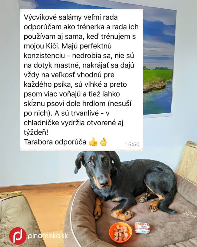 NATURIS Houdbaar výcviková saláma Kalkoen morka 650g box 12ks