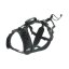 I-DOG Postroj canicross RAIDLIGHT