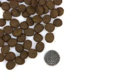 Marp Holistic Salmon lososové granule bez obilnín pre dospelé psy a šteňatá 4kg v zásobníku 1