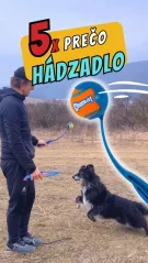 prečo používať hádzadlo pre psa?