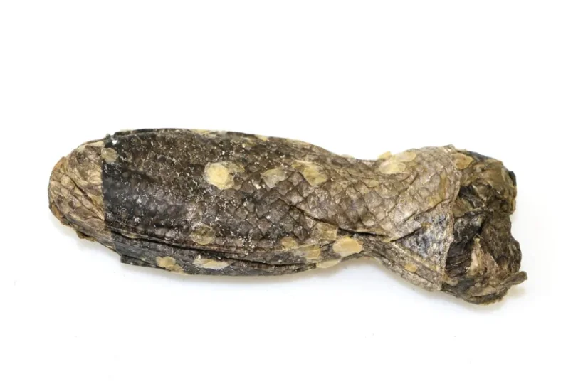 Marp Treats Holistic Fish kosť z lososovej kože je prírodný pamlsok pre psa na žuvanie a čistenie zubov 2