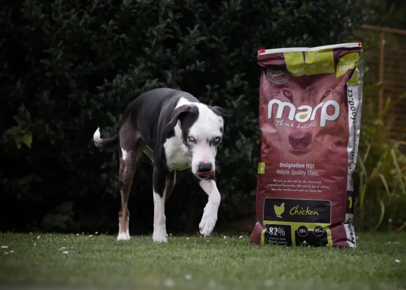 Marp Holistic  Chicken kuracie granule bez obilnín pre dospelých psov a šteňatá 12kg 4