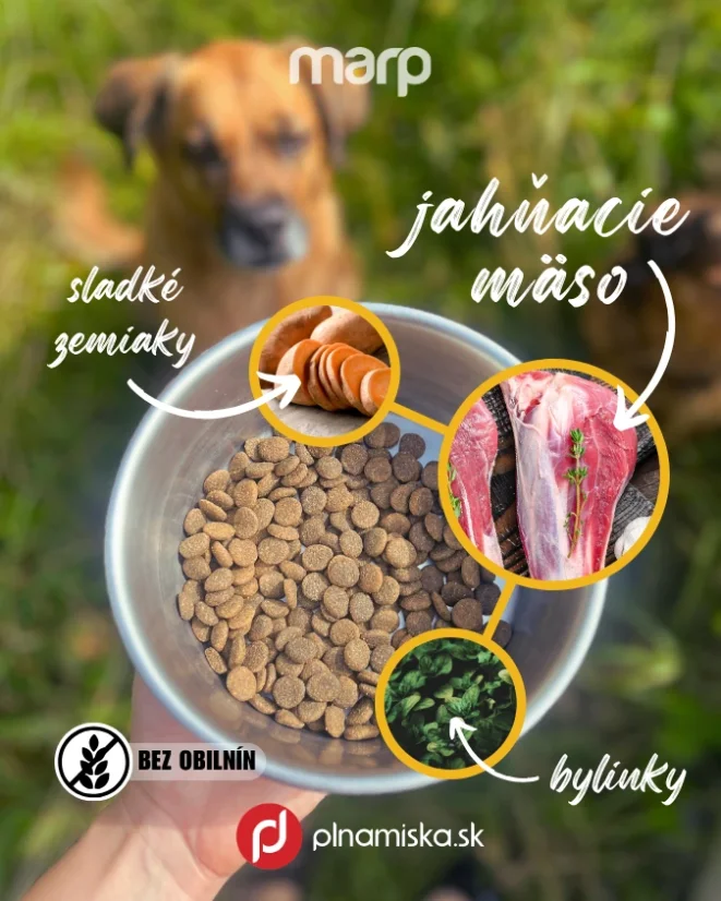 Marp Holistic  Lamb jahňacie bez obilnín 12kg