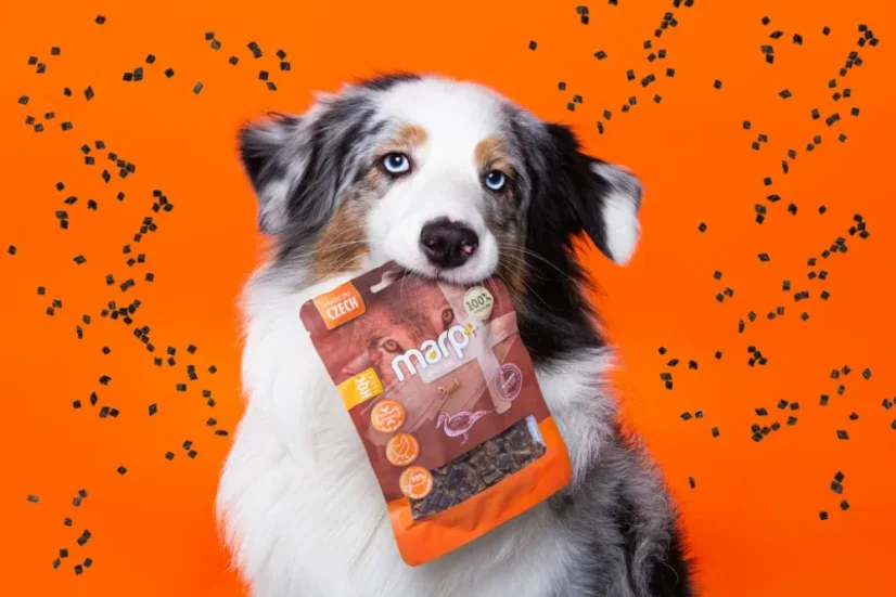 Marp Treats Holistic+ maškrty pre psov kačacie 80g 2