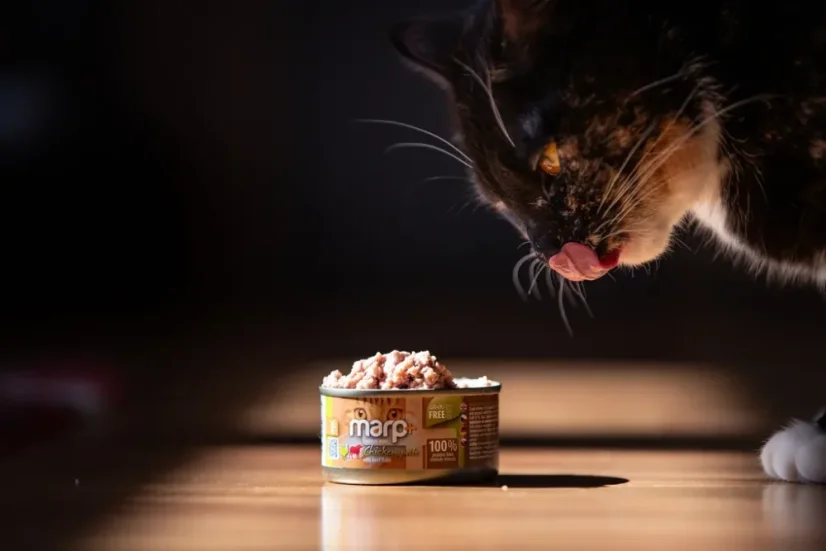 Marp Holistic+ konzerva pre mačky Kuracie paté s hovädzími kúskami 24x70g 1