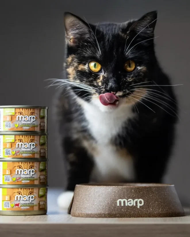 Marp Holistic+ konzerva pre mačky Kuracie paté s krevetami 70g 5