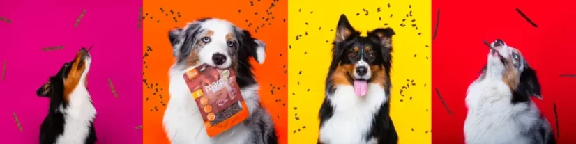 Marp Treats Holistic+ maškrty pre psov kačacie 80g 4