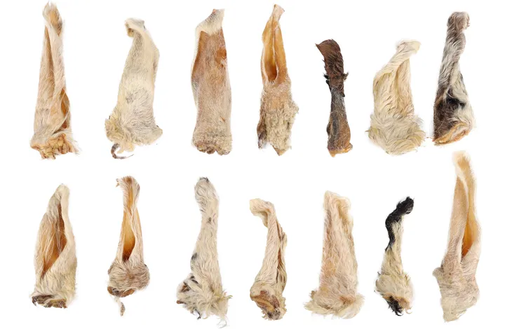 FLAMINGO NATURE SNACK jahňacie uši so srsťou - prírodný pamlsok pre psa 200g 1