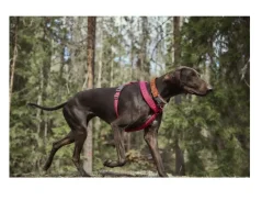 HURTTA Postroj Y Casual ECO ruby 35-45 - každodenný postroj pre psa ružový 2