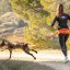 I-DOG Sedák canicross ONE I-DOG Sedák canicross ONE