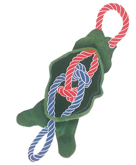 KONG Knots Tugger Frog S/M 40 cm