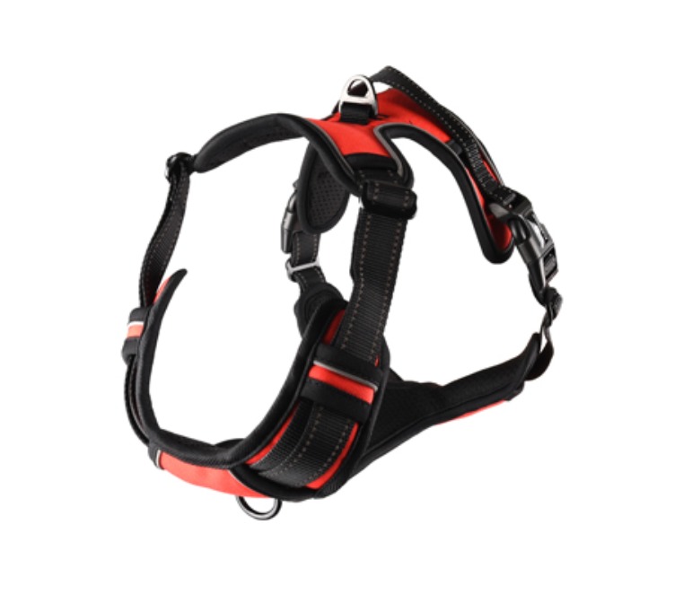 Flamingo Postroj nylon Balou S 2x40-55 cm červený