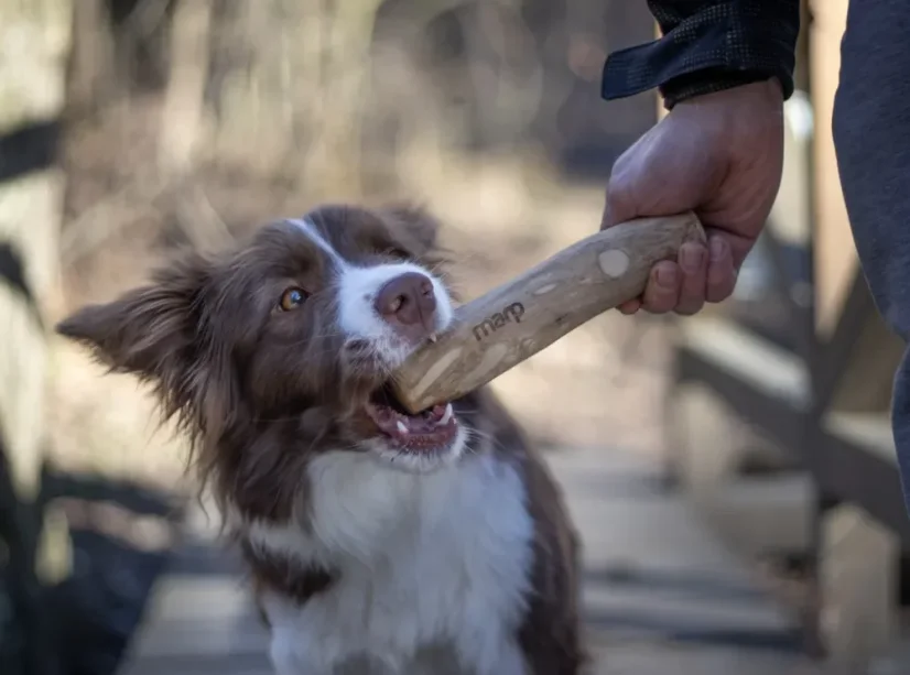 Marp Treats Holistic Kávové drevo M (70-100g) 6