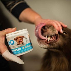 AMINELA obrúsky na zuby 50ks