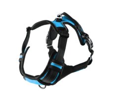 Flamingo Postroj nylon Balou S 2x40-55 cm modrý