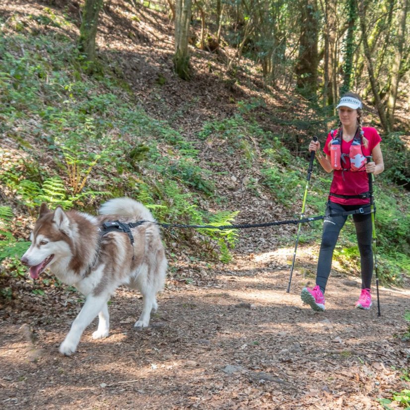I-DOG Postroj canicross RAIDLIGHT