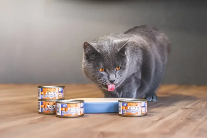 Marp Holistic+ konzerva pre mačky Tuniakové filety vo vývare 24x70g 2