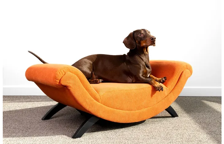 Pohovka pre malého psa FLAMINGO Sofa Dingo 80x43cm oranžová 1