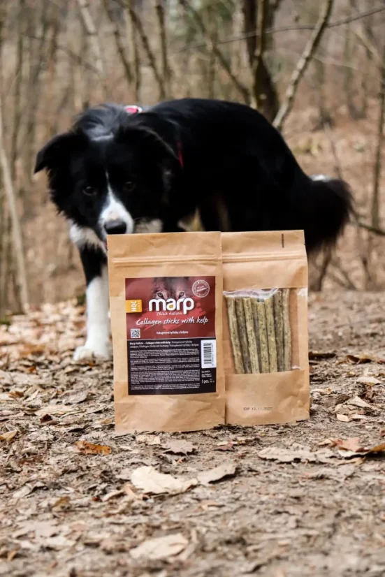 Marp Treats Holistic kolagénová tyčinka s kelpou 10 ks - psie maškrty na ohrýzanie 2