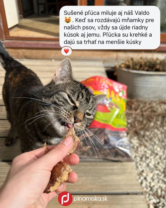 MAPES bravčové pľúca bal. 500 g + darček