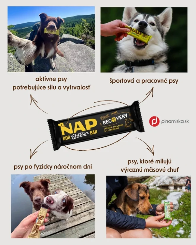 NAP proteínová tyčinka pre psa - recovery s hovädzím 50g  2